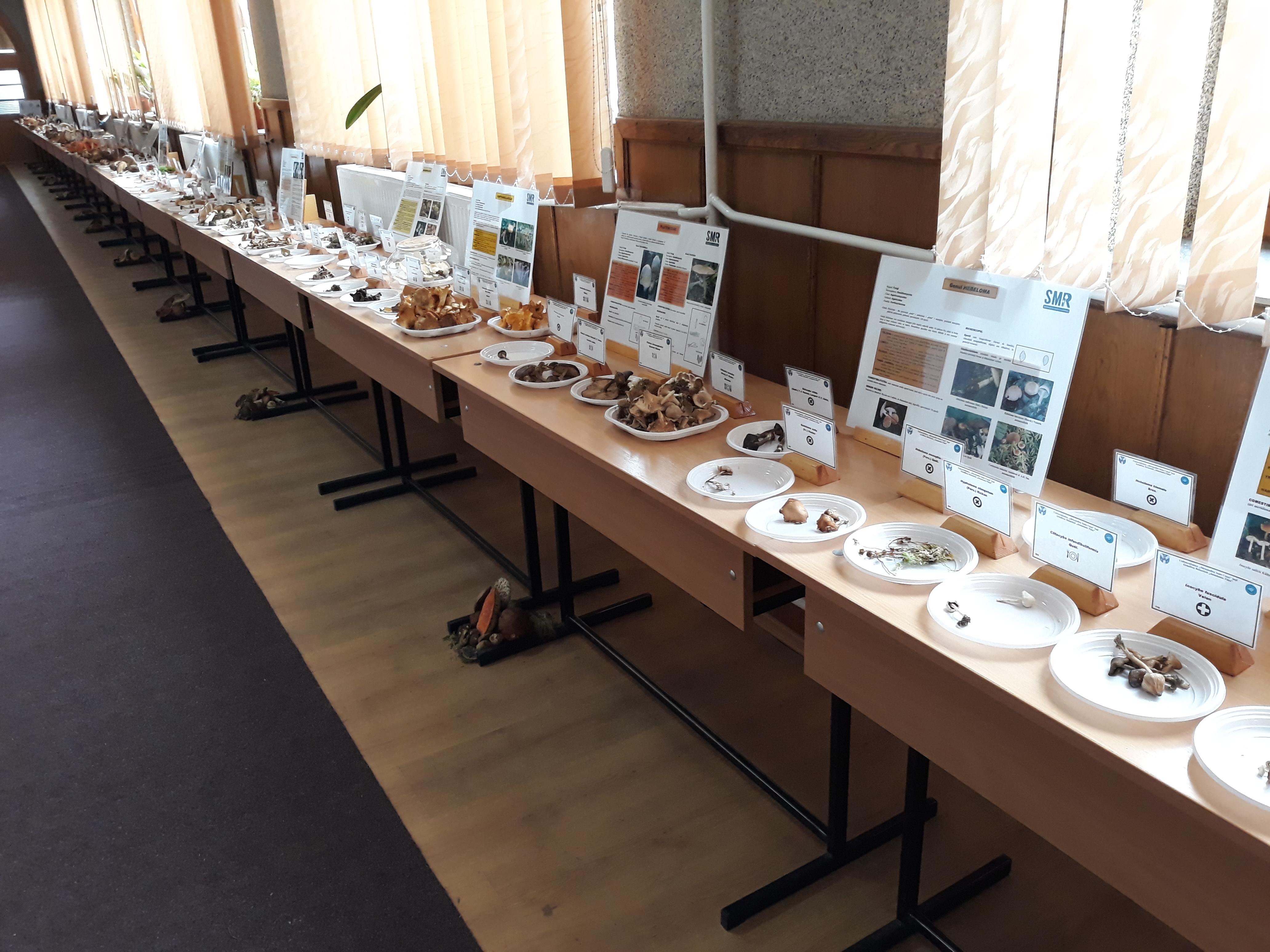 Tabăra micologică, Ediția a III-a, 20-23 septembrie 2018, Poiana Negri – Județul Suceava